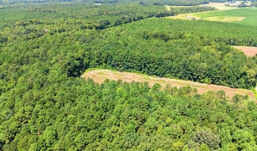 Photo #5 of TBD Myrtle West Dr., Loris, SC 22.0 acres
