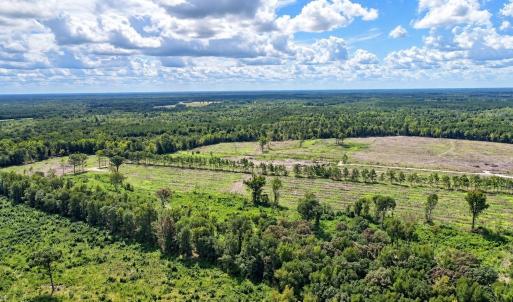 Photo #3 of Old Forreston Rd., Greeleyville, SC 237.0 acres
