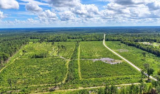 Photo #2 of Old Forreston Rd., Greeleyville, SC 237.0 acres