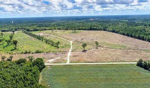 Photo #4 of Old Forreston Rd., Greeleyville, SC 237.0 acres
