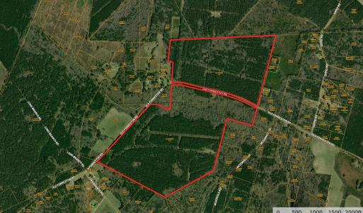Photo #1 of Old Forreston Rd., Greeleyville, SC 237.0 acres