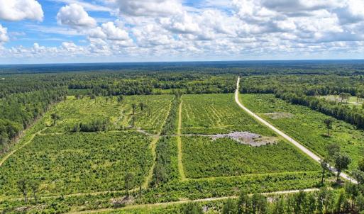 Photo #7 of Old Forreston Rd., Greeleyville, SC 237.0 acres
