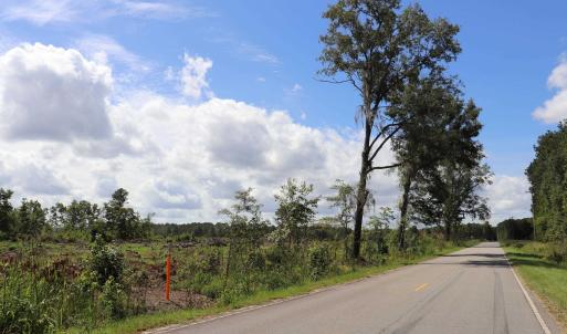 Photo #16 of Old Forreston Rd., Greeleyville, SC 237.0 acres