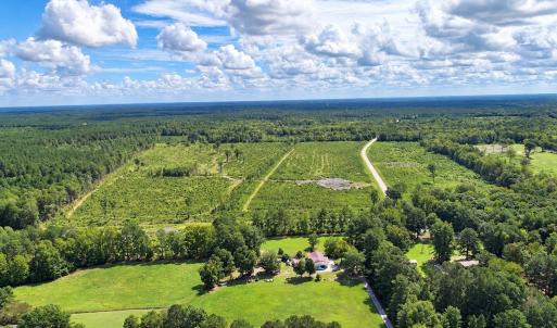 Photo #5 of Old Forreston Rd., Greeleyville, SC 237.0 acres