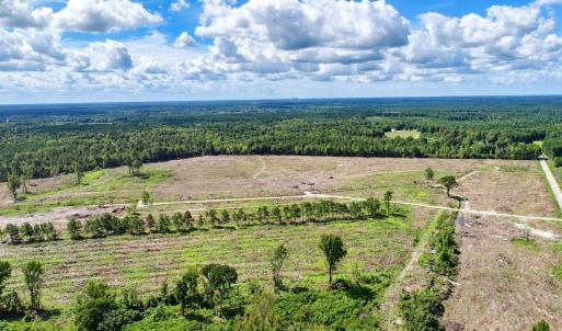 Photo #6 of Old Forreston Rd., Greeleyville, SC 237.0 acres