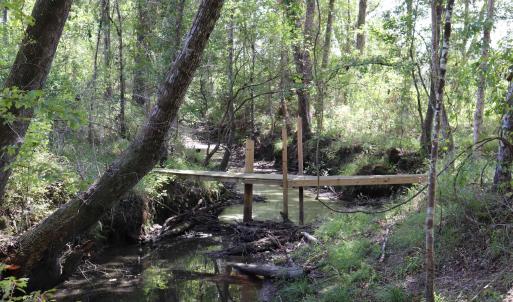 Photo #10 of Old Forreston Rd., Greeleyville, SC 237.0 acres