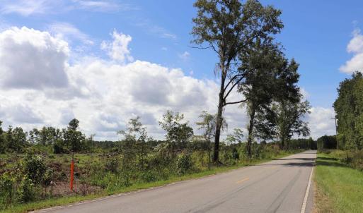 Photo #17 of Old Forreston Rd., Greeleyville, SC 237.0 acres