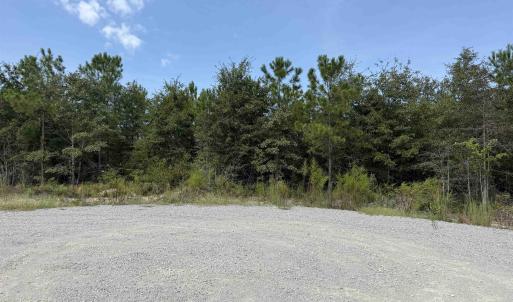 Photo #21 of Lot 10 Ellwood Rd., Galivants Ferry, SC 5.5 acres