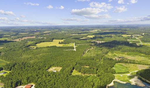 Photo #8 of Lot 10 Ellwood Rd., Galivants Ferry, SC 5.5 acres