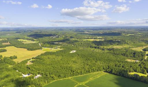 Photo #6 of Lot 10 Ellwood Rd., Galivants Ferry, SC 5.5 acres