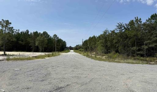 Photo #19 of Lot 10 Ellwood Rd., Galivants Ferry, SC 5.5 acres