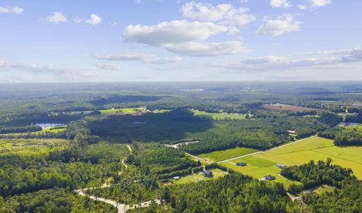 Photo #16 of Lot 10 Ellwood Rd., Galivants Ferry, SC 5.5 acres