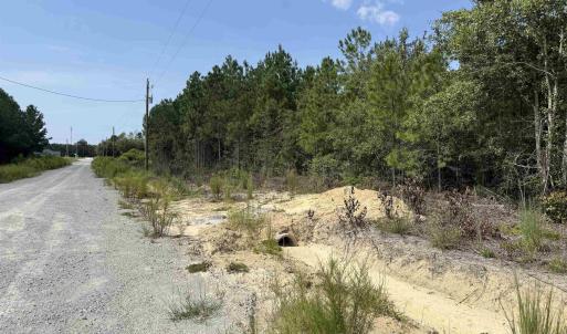 Photo #18 of Lot 10 Ellwood Rd., Galivants Ferry, SC 5.5 acres