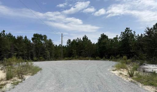 Photo #2 of Lot 11 Ellwood Rd., Galivants Ferry, SC 3.7 acres