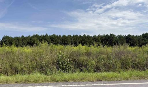 Photo #19 of Lot 11 Ellwood Rd., Galivants Ferry, SC 3.7 acres