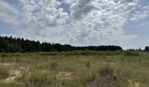 Photo #28 of Lot 11 Ellwood Rd., Galivants Ferry, SC 3.7 acres