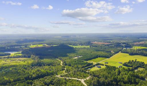 Photo #15 of Lot 11 Ellwood Rd., Galivants Ferry, SC 3.7 acres