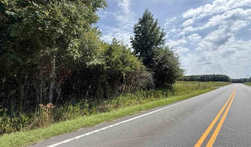 Photo #21 of Lot 11 Ellwood Rd., Galivants Ferry, SC 3.7 acres