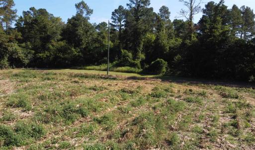Photo #4 of LOT 2 Mar Cap Rd., Galivants Ferry, SC 2.0 acres