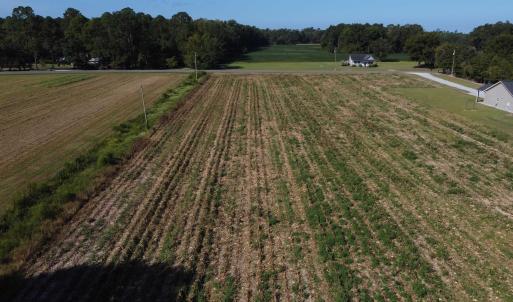 Photo #3 of LOT 2 Mar Cap Rd., Galivants Ferry, SC 2.0 acres