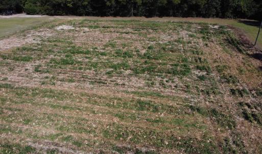 Photo #2 of LOT 2 Mar Cap Rd., Galivants Ferry, SC 2.0 acres