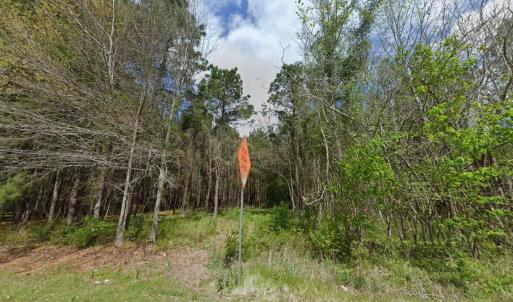 Photo #3 of TBD Highway 762, Loris, SC 0.8 acres