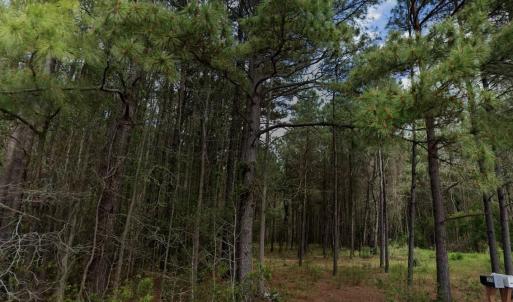 Photo #4 of TBD Highway 762, Loris, SC 0.8 acres