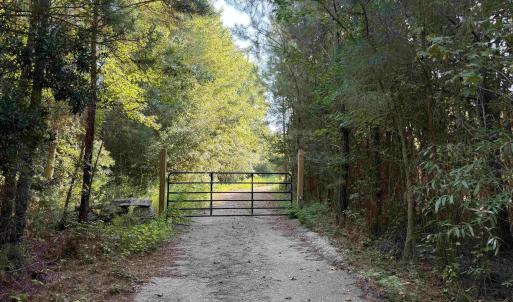 Photo #7 of 15+/- Acres-976 New Pine Rd., Johnsonville, SC 15.0 acres