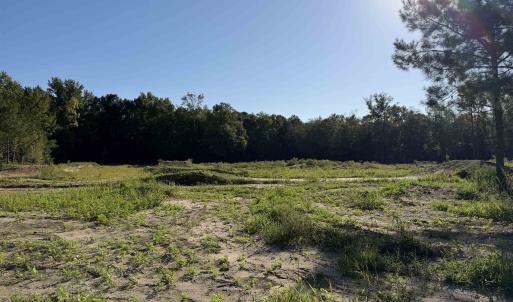 Photo #8 of 15+/- Acres-976 New Pine Rd., Johnsonville, SC 15.0 acres