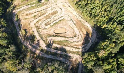 Photo #13 of 15+/- Acres-976 New Pine Rd., Johnsonville, SC 15.0 acres