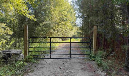 Photo #6 of 15+/- Acres-976 New Pine Rd., Johnsonville, SC 15.0 acres