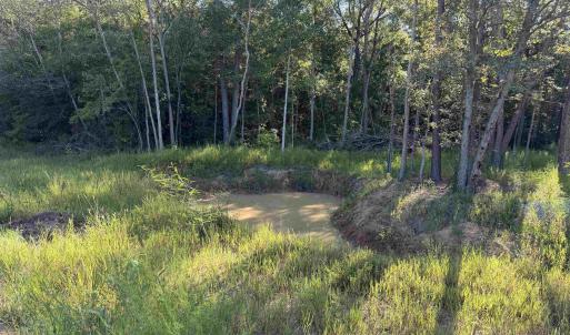 Photo #23 of 15+/- Acres-976 New Pine Rd., Johnsonville, SC 15.0 acres