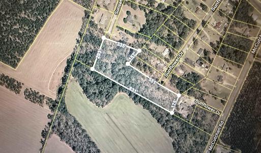 Photo #1 of Sunflower Dr., Cades, SC 4.5 acres