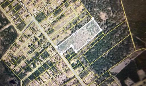 Photo #1 of Sumter Hwy., Kingstree, SC 8.5 acres