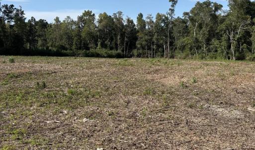 Photo #1 of TBD Cane Branch Church Rd., Conway, SC 1.0 acres