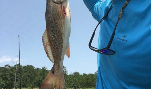 Photo #30 of TBD Warham Dr., Georgetown, SC 0.3 acres