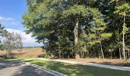 Photo #1 of TBD Warham Dr., Georgetown, SC 0.3 acres