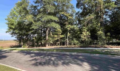 Photo #8 of TBD Warham Dr., Georgetown, SC 0.3 acres