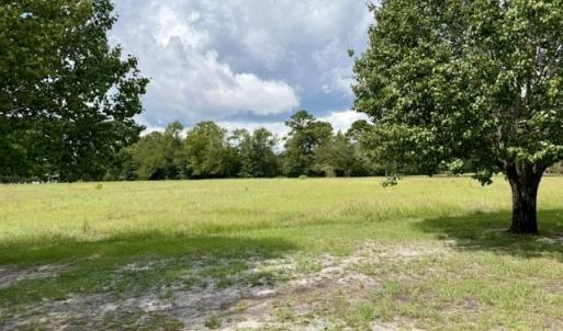 Photo #2 of TBD Holly View Ln., Loris, SC 1.0 acres