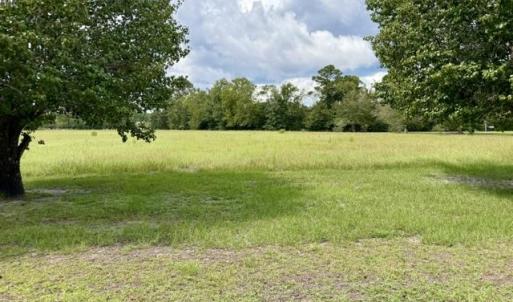 Photo #1 of TBD Holly View Ln., Loris, SC 1.0 acres