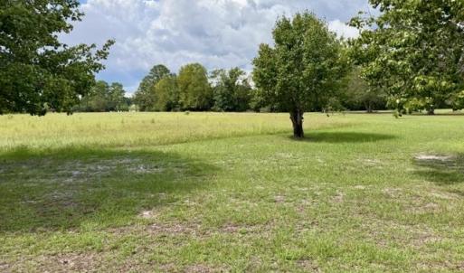 Photo #3 of TBD Holly View Ln., Loris, SC 1.0 acres