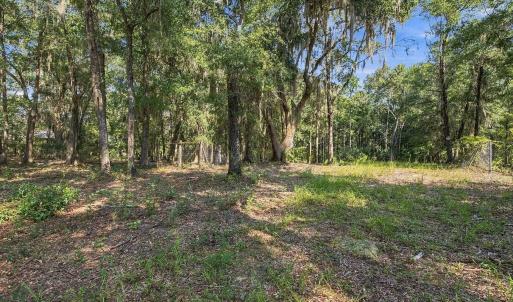 Photo #19 of 455 Crow Hill Dr., Georgetown, SC 3.4 acres