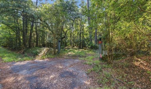 Photo #9 of 455 Crow Hill Dr., Georgetown, SC 3.4 acres