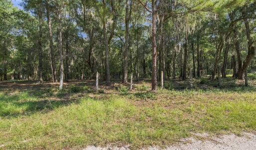 Photo #14 of 455 Crow Hill Dr., Georgetown, SC 3.4 acres