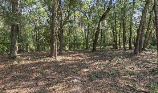 Photo #8 of 455 Crow Hill Dr., Georgetown, SC 3.4 acres