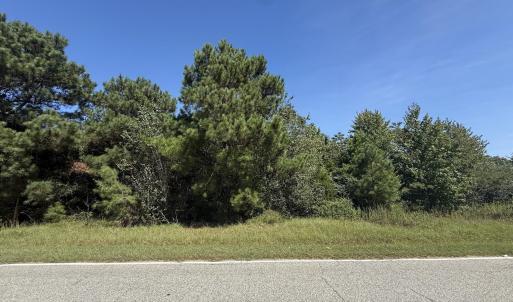 Photo #3 of TBD Black Branch Rd., Dillon, SC 0.7 acres
