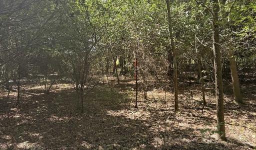 Photo #5 of TBD Black Branch Rd., Dillon, SC 0.7 acres