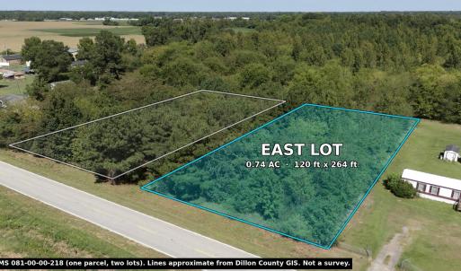Photo #1 of TBD Black Branch Rd., Dillon, SC 0.7 acres