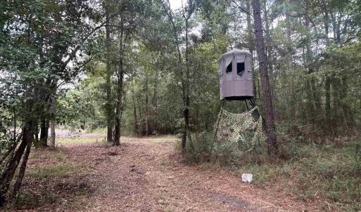 Photo #35 of TBD Highway 905, Conway, SC 87.3 acres