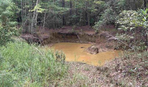 Photo #38 of TBD Highway 905, Conway, SC 87.3 acres